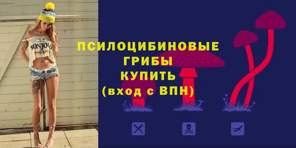 spice Алексин