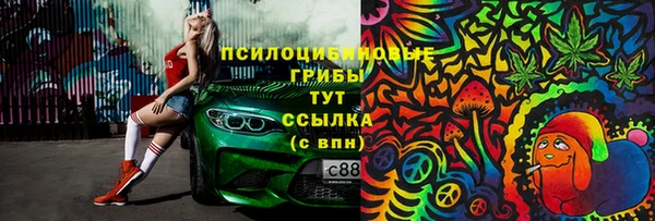 2c-b Алзамай