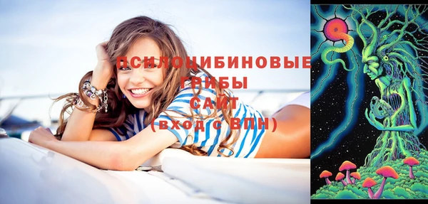 spice Алексин