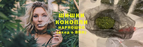 spice Алексин